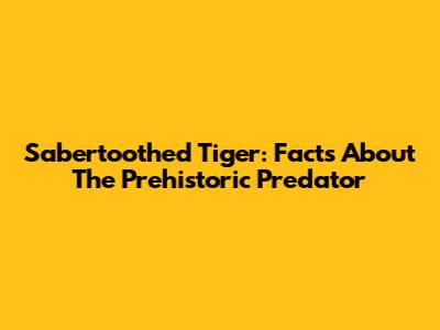 Sabertoothed Tiger: Facts About The Prehistoric Predator