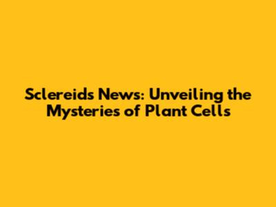 Sclereids News: Unveiling the Mysteries of Plant Cells