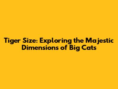 Tiger Size: Exploring the Majestic Dimensions of Big Cats