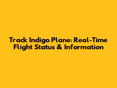 Track Indigo Plane: Real-Time Flight Status & Information