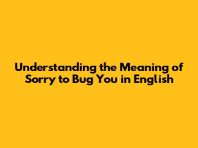 Understanding the Meaning of "Sorry to Bug You" in English