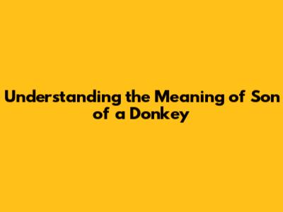 Understanding the Meaning of 'Son of a Donkey'