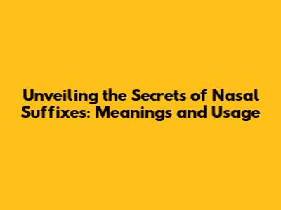 Unveiling the Secrets of Nasal Suffixes: Meanings and Usage