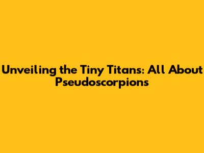 Unveiling the Tiny Titans: All About Pseudoscorpions