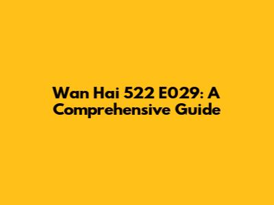 Wan Hai 522 E029: A Comprehensive Guide