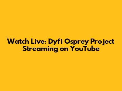 Watch Live: Dyfi Osprey Project Streaming on YouTube