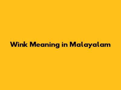 Wink Meaning in Malayalam
