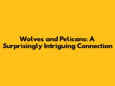 Wolves and Pelicans: A Surprisingly Intriguing Connection